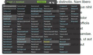 Dicter v.3.70 RUS